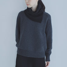 画像をギャラリービューアに読み込む, ヴィランスヌード