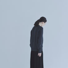 画像をギャラリービューアに読み込む, ヴィランセーター
